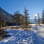Bergnest