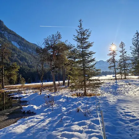 Bergnest